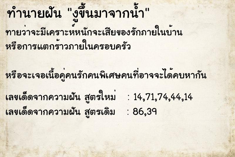 ทำนายฝันงูขึ้นมาจากน้ำ ทำนายฝันทำนายฝันงูขึ้นมาจากน้ำ