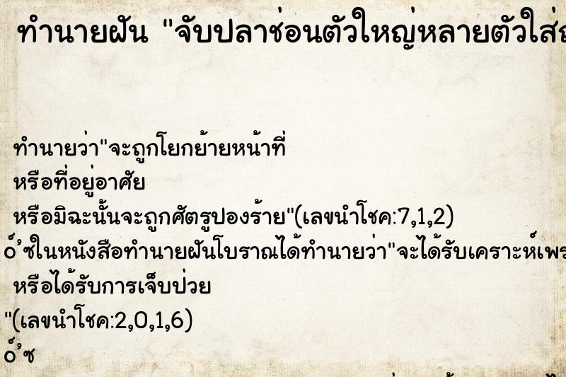 ทำนายฝันทำนายฝันจับปลาช่อนตัวใหญ่หลายตัวใส่ถังจนเต็ม