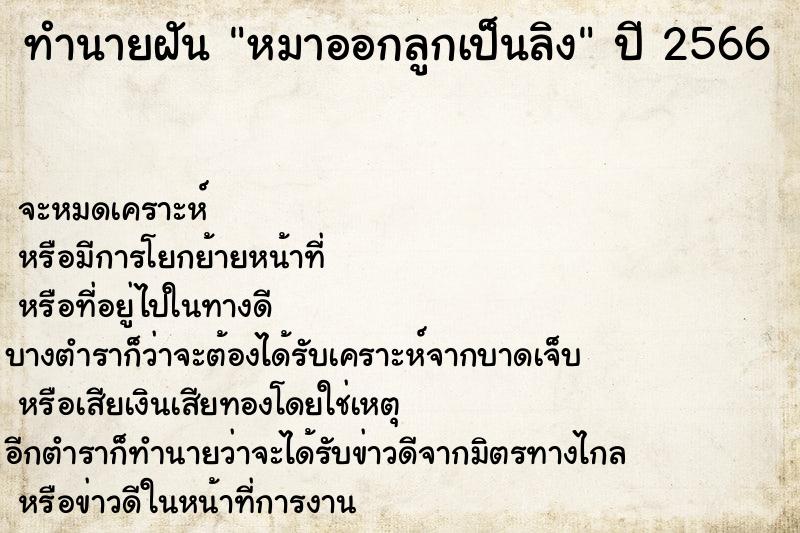 ทำนายฝันทำนายฝันหมาออกลูกเป็นลิง