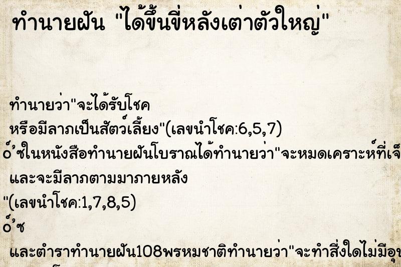 ทำนายฝัน ได้ขึ้นขี่หลังเต่าตัวใหญ่ ทำนายฝัน ได้ขึ้นขี่หลังเต่าตัวใหญ่