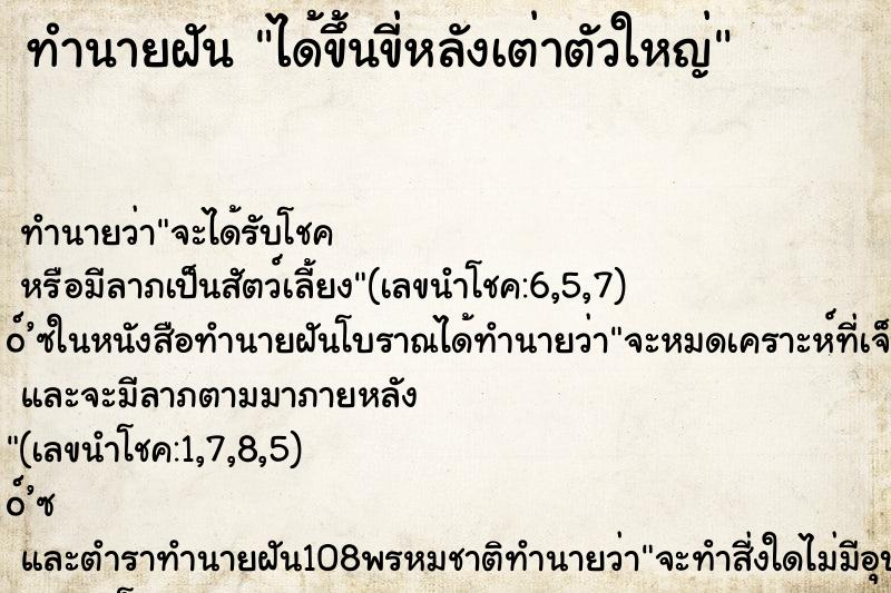 ทำนายฝัน ได้ขึ้นขี่หลังเต่าตัวใหญ่ ตำราโบราณ แม่นที่สุดในโลก