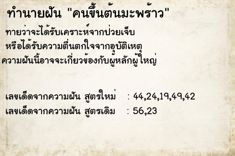 ทำนายฝันคนขึ้นต้นมะพร้าว ทำนายฝันทำนายฝันคนขึ้นต้นมะพร้าว