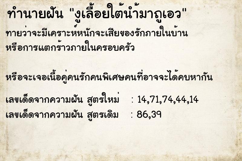 ทำนายฝันงูเลื้อยใต้นำ้มาถูเอว ทำนายฝันทำนายฝันงูเลื้อยใต้นำ้มาถูเอว