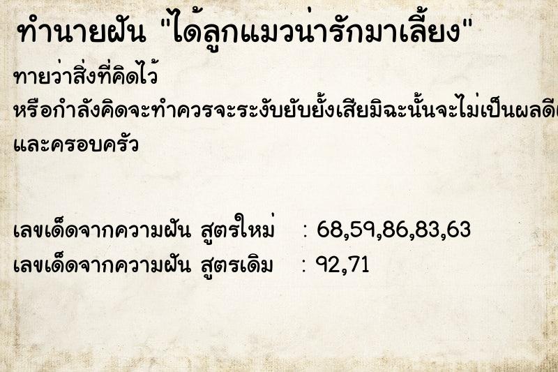 ทำนายฝันทำนายฝันได้ลูกแมวน่ารักมาเลี้ยง