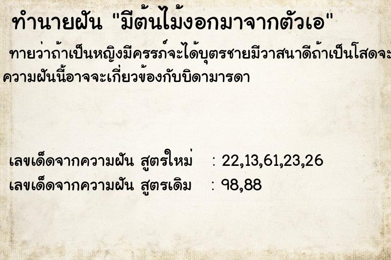 ทำนายฝัน มีต้นไม้งอกมาจากตัวเอ ทำนายฝัน มีต้นไม้งอกมาจากตัวเอ