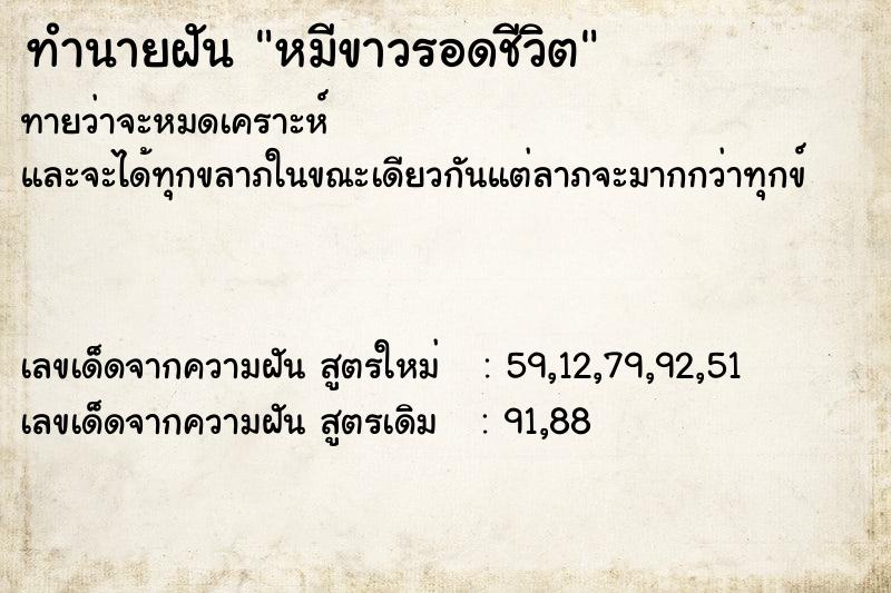 ทำนายฝันหมีขาวรอดชีวิต ทำนายฝันทำนายฝันหมีขาวรอดชีวิต