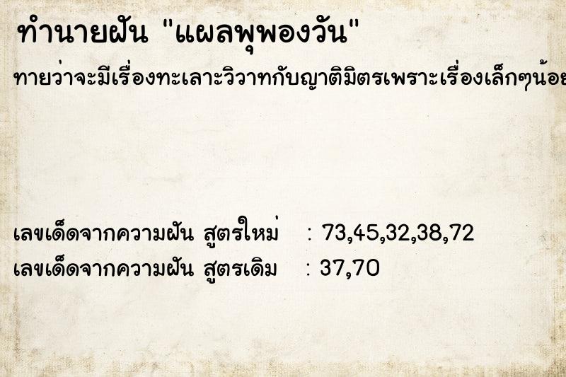 ทำนายฝันทำนายฝันแผลพุพองวัน