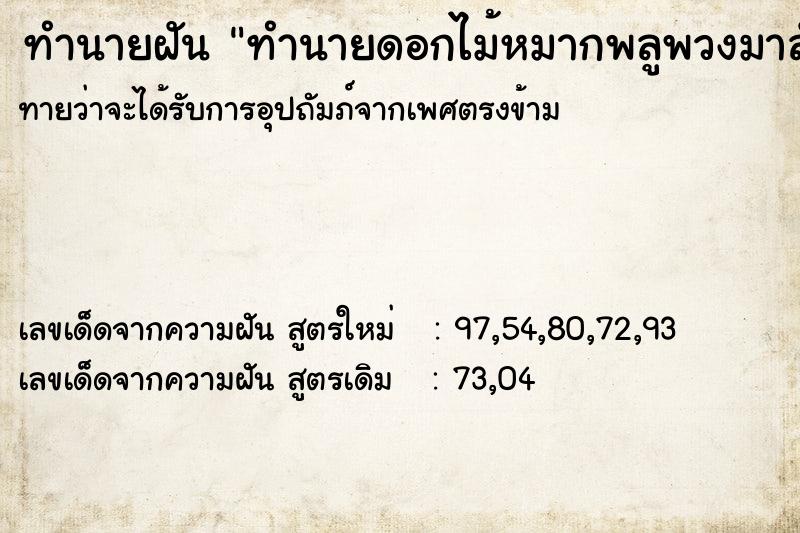 ทำนายฝันทำนายดอกไม้หมากพลูพวงมาลัย ทำนายฝันทำนายฝันทำนายดอกไม้หมากพลูพวงมาลัย