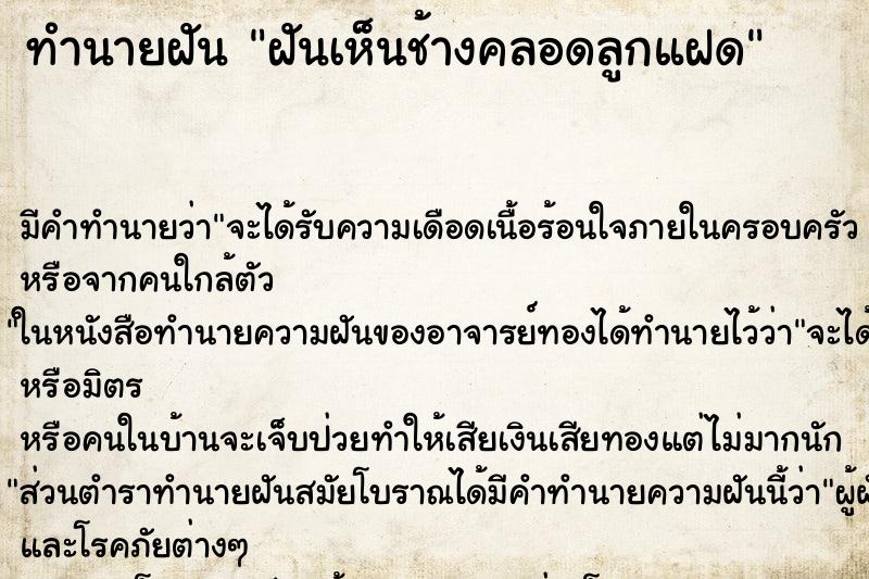 ทำนายฝัน ฝันเห็นช้างคลอดลูกแฝด ทำนายฝัน ฝันเห็นช้างคลอดลูกแฝด