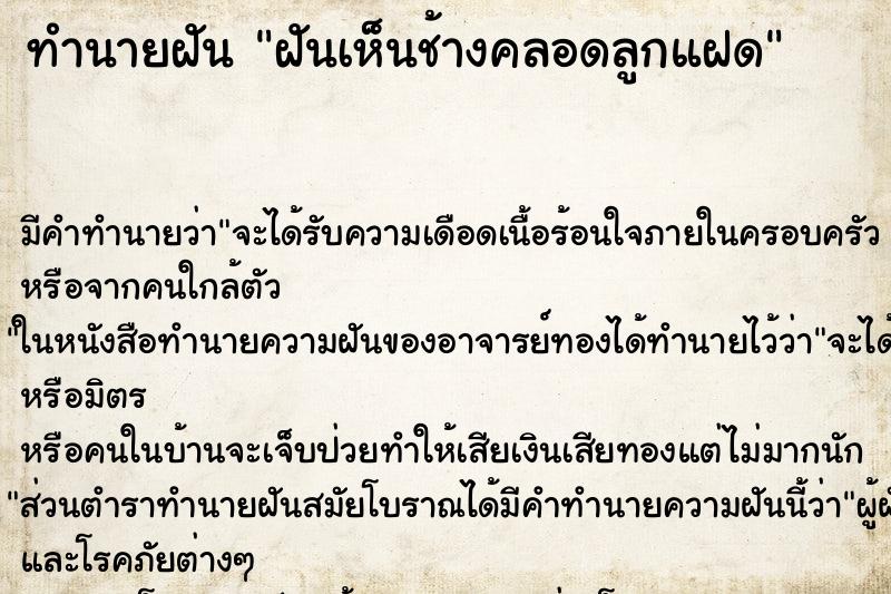 ทำนายฝัน ฝันเห็นช้างคลอดลูกแฝด ตำราโบราณ แม่นที่สุดในโลก