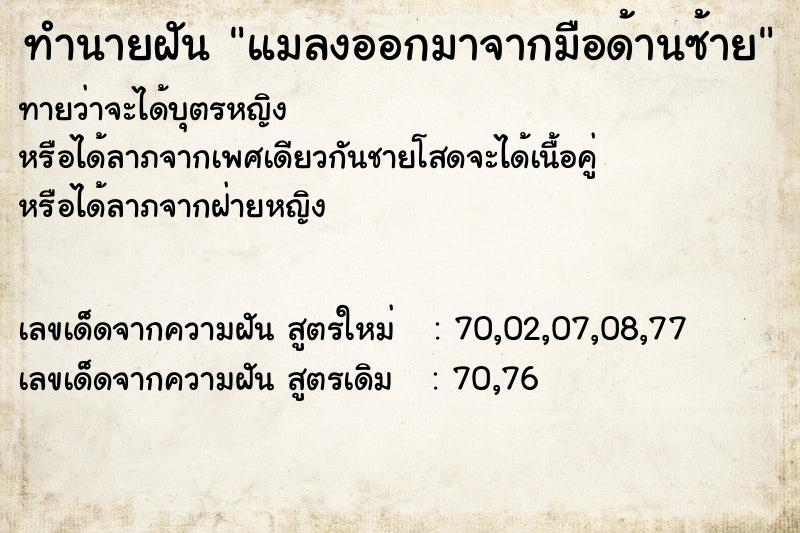 ทำนายฝันทำนายฝันแมลงออกมาจากมือด้านซ้าย