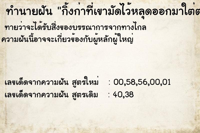 ทำนายฝันกิ้งก่าที่เขามัดไว้หลุดออกมาใต่ตามเอวคนนอนหลับ ทำนายฝันทำนายฝันกิ้งก่าที่เขามัดไว้หลุดออกมาใต่ตามเอวคนนอนหลับ