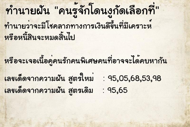 ทำนายฝัน คนรู้จักโดนงูกัดเลือกที่ ทำนายฝัน คนรู้จักโดนงูกัดเลือกที่
