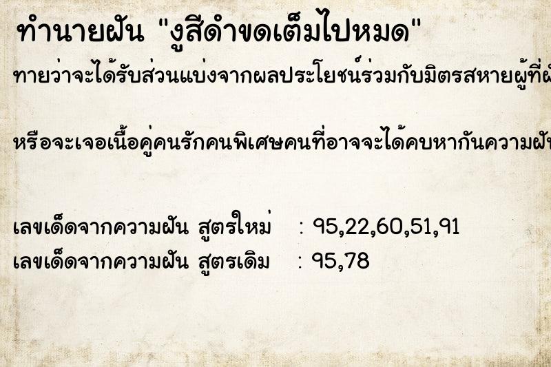 ทำนายฝันงูสีดำขดเต็มไปหมด ทำนายฝันทำนายฝันงูสีดำขดเต็มไปหมด