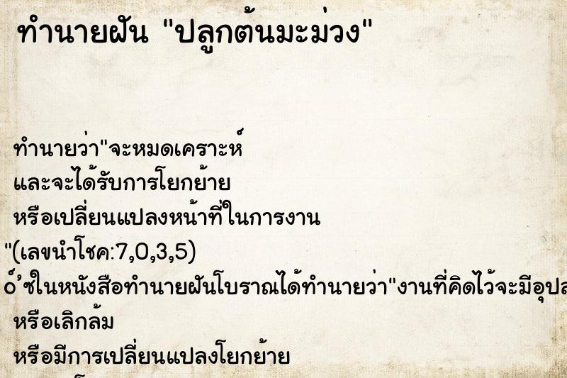 ทำนายฝัน ปลูกต้นมะม่วง ทำนายฝัน ปลูกต้นมะม่วง