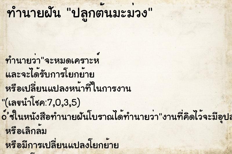 ทำนายฝัน ปลูกต้นมะม่วง ตำราโบราณ แม่นที่สุดในโลก