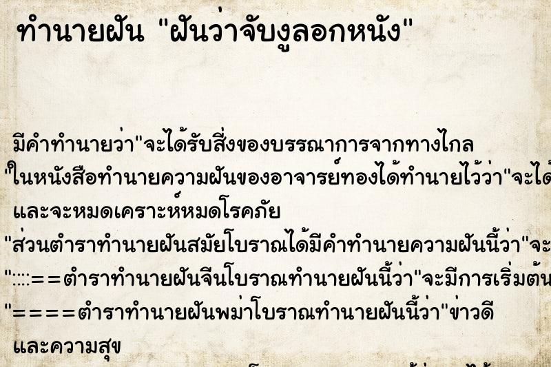 ทำนายฝัน ฝันว่าจับงูลอกหนัง ทำนายฝัน ฝันว่าจับงูลอกหนัง