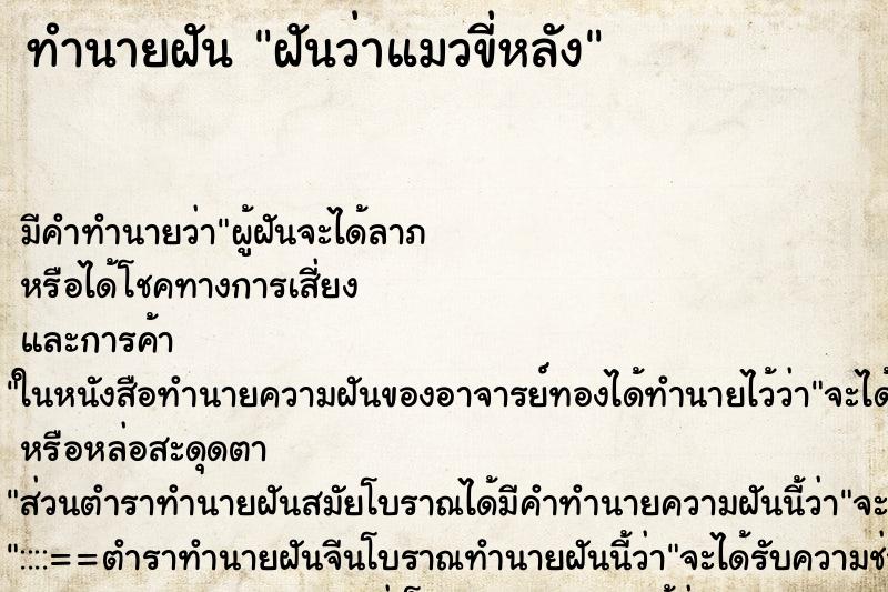 ทำนายฝันฝันว่าแมวขี่หลัง ทำนายฝันทำนายฝันฝันว่าแมวขี่หลัง