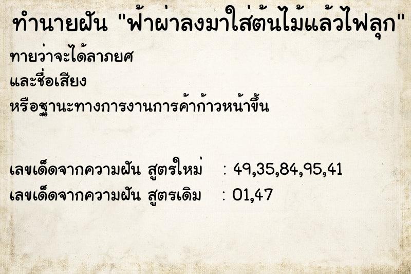 ทำนายฝันทำนายฝันฟ้าผ่าลงมาใส่ต้นไม้แล้วไฟลุก