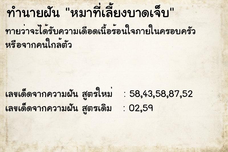 ทำนายฝันทำนายฝันหมาที่เลี้ยงบาดเจ็บ