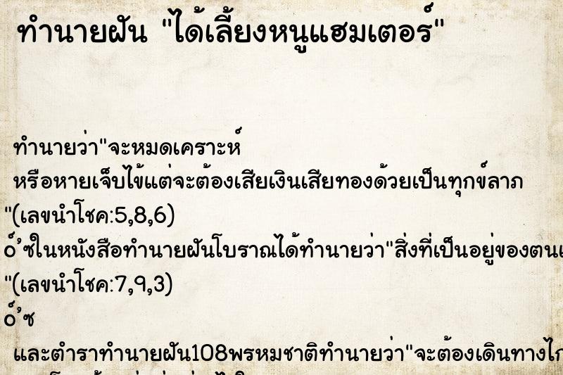 ทำนายฝันทำนายฝันได้เลี้ยงหนูแฮมเตอร์