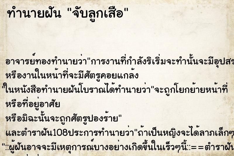 ทำนายฝัน จับลูกเสือ ทำนายฝัน จับลูกเสือ