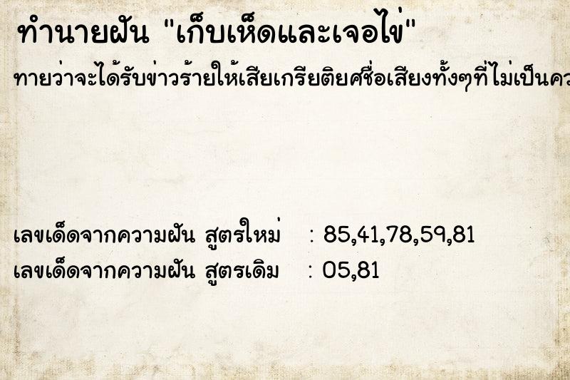 ทำนายฝันเก็บเห็ดและเจอไข่ ทำนายฝันทำนายฝันเก็บเห็ดและเจอไข่