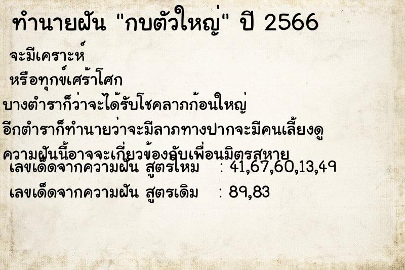 ทำนายฝัน กบตัวใหญ่ ตำราโบราณ แม่นที่สุดในโลก