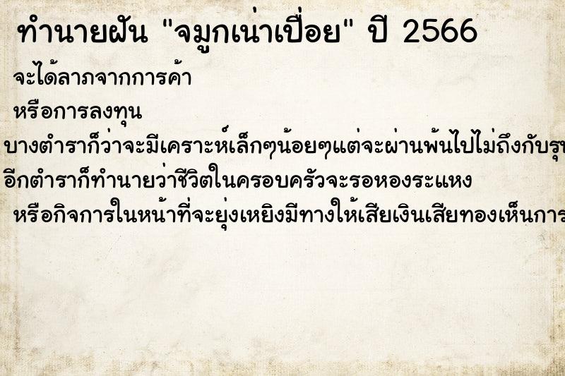 ทำนายฝัน จมูกเน่าเปื่อย ทำนายฝัน จมูกเน่าเปื่อย