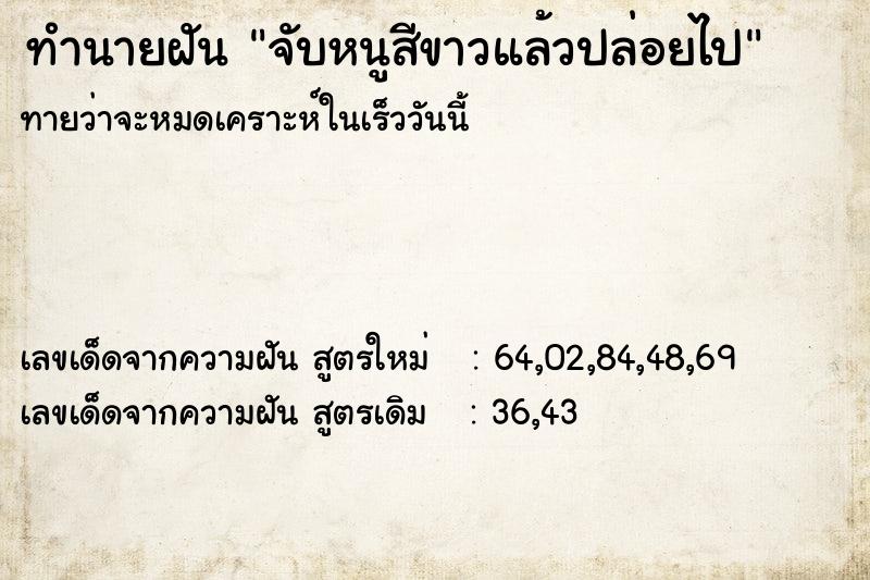 ทำนายฝันจับหนูสีขาวแล้วปล่อยไป ทำนายฝันทำนายฝันจับหนูสีขาวแล้วปล่อยไป