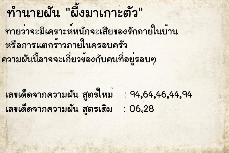 ทำนายฝันผื้งมาเกาะตัว ทำนายฝันทำนายฝันผื้งมาเกาะตัว
