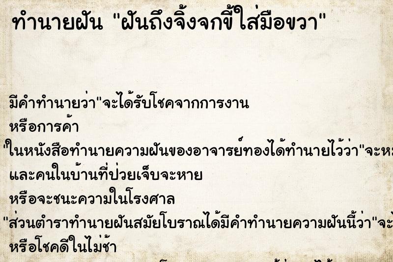ทำนายฝัน ฝันถึงจิ้งจกขี้ใส่มือขวา ทำนายฝัน ฝันถึงจิ้งจกขี้ใส่มือขวา