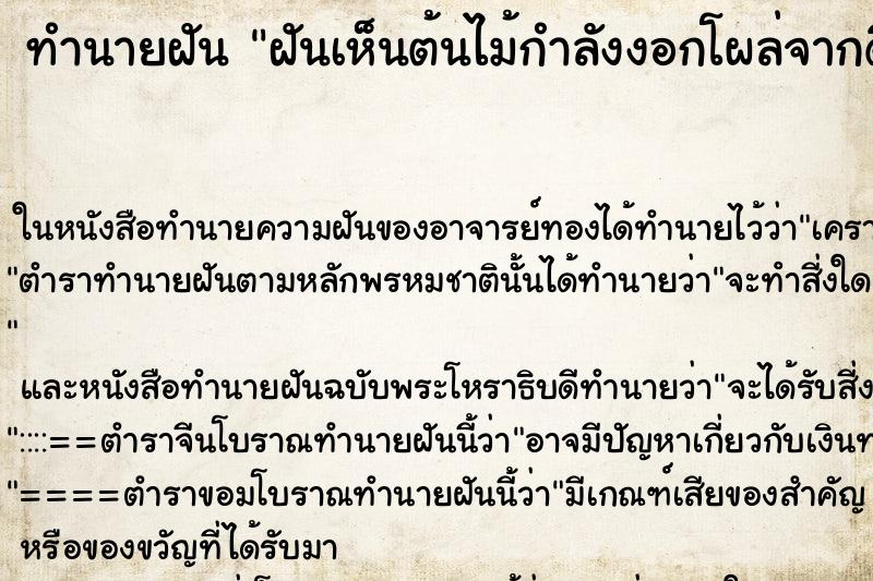 ทำนายฝันฝันเห็นต้นไม้กำลังงอกโผล่จากดิน ทำนายฝันทำนายฝันฝันเห็นต้นไม้กำลังงอกโผล่จากดิน