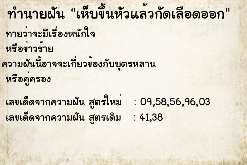 ทำนายฝันทำนายฝันเห็บขึ้นหัวแล้วกัดเลือดออก