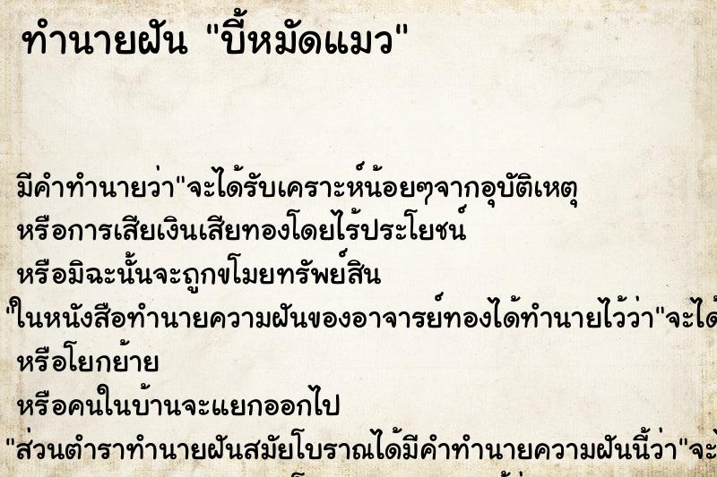 ทำนายฝัน บี้หมัดแมว ทำนายฝัน บี้หมัดแมว
