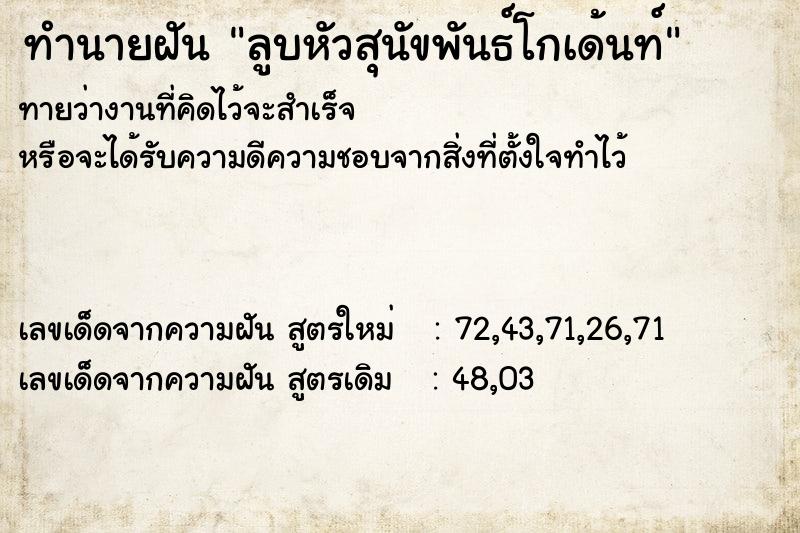 ทำนายฝันทำนายฝันลูบหัวสุนัขพันธ์โกเด้นท์