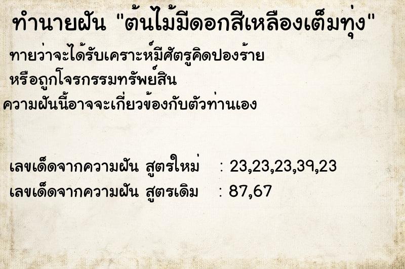 ทำนายฝันต้นไม้มีดอกสีเหลืองเต็มทุ่ง ทำนายฝันทำนายฝันต้นไม้มีดอกสีเหลืองเต็มทุ่ง