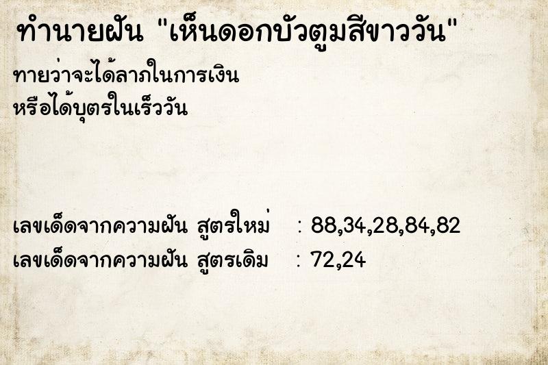 ทำนายฝัน เห็นดอกบัวตูมสีขาววัน
