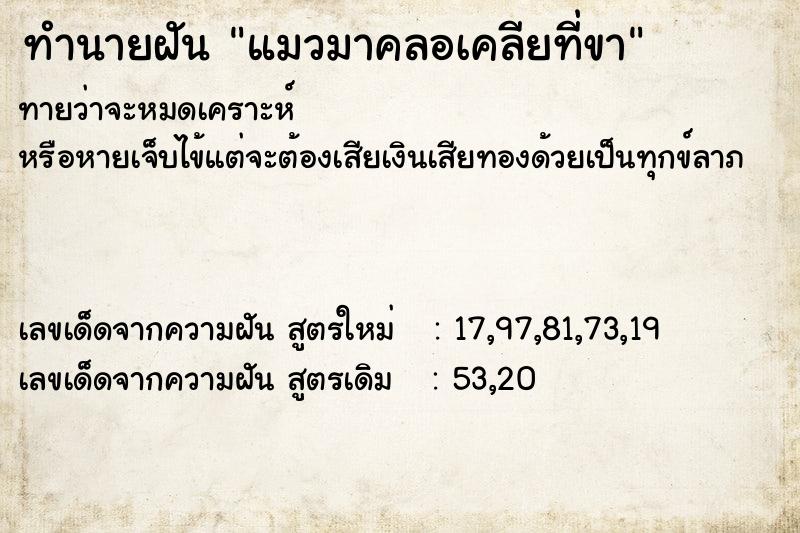 ทำนายฝันทำนายฝันแมวมาคลอเคลียที่ขา