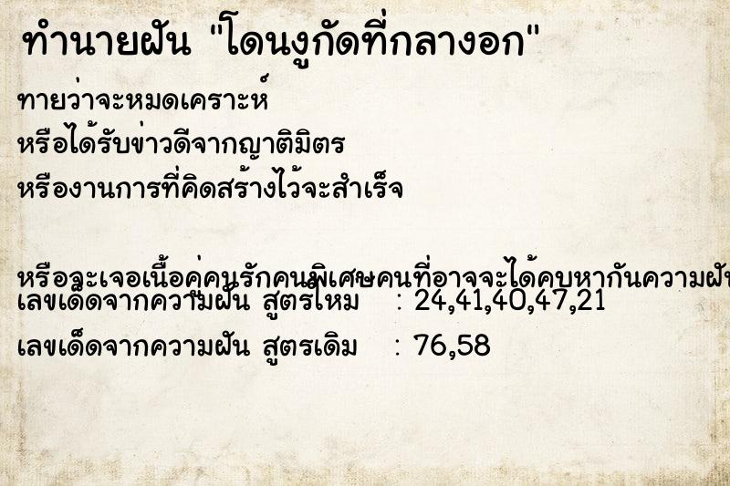 ทำนายฝัน โดนงูกัดที่กลางอก ทำนายฝัน โดนงูกัดที่กลางอก