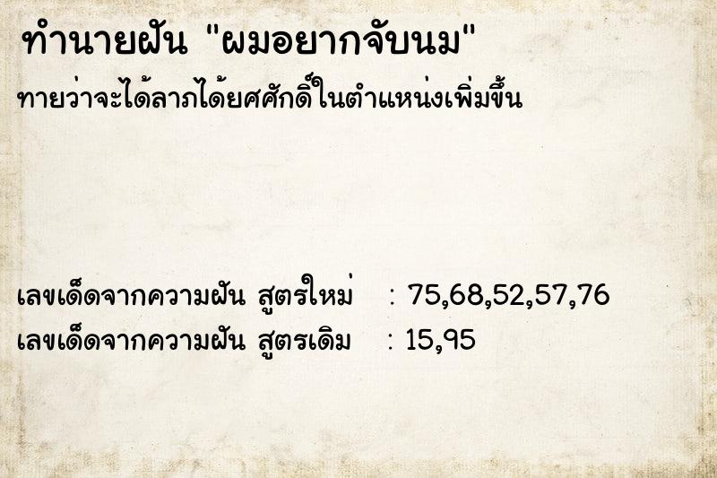 ทำนายฝันทำนายฝันผมอยากจับนม