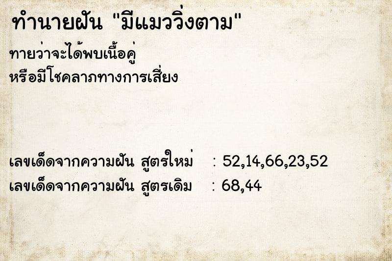 ทำนายฝันมีแมววิ่งตาม ทำนายฝันทำนายฝันมีแมววิ่งตาม