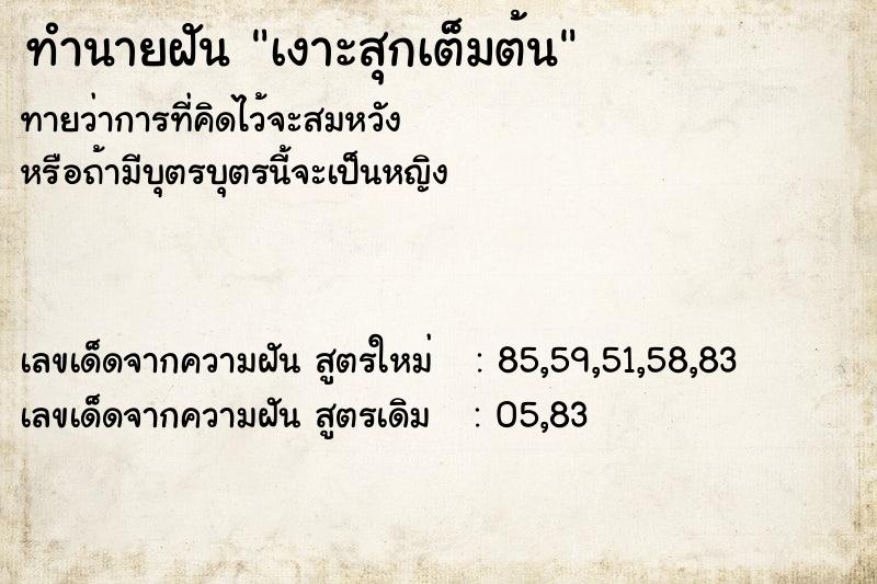 ทำนายฝันเงาะสุกเต็มต้น ทำนายฝันทำนายฝันเงาะสุกเต็มต้น