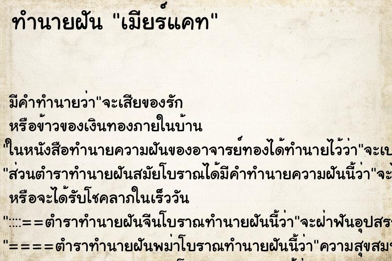 ทำนายฝัน เมียร์แคท ทำนายฝัน เมียร์แคท