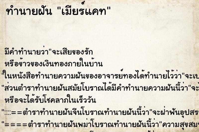 ทำนายฝัน เมียร์แคท ตำราโบราณ แม่นที่สุดในโลก