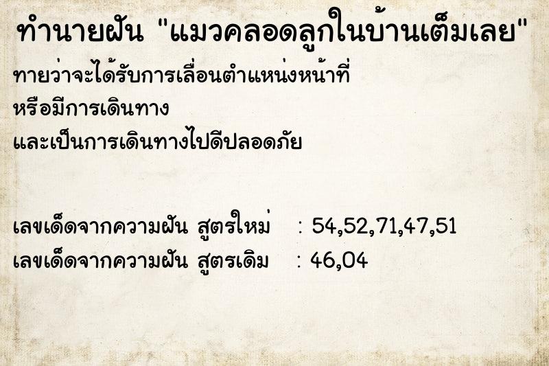 ทำนายฝันทำนายฝันแมวคลอดลูกในบ้านเต็มเลย
