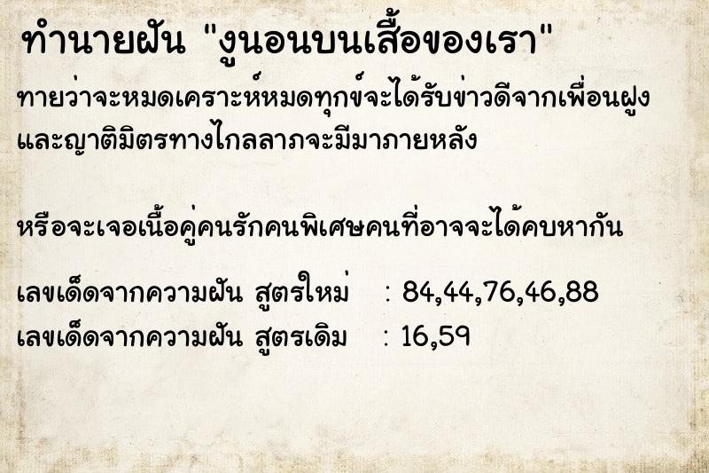 ทำนายฝันทำนายฝันงูนอนบนเสื้อของเรา