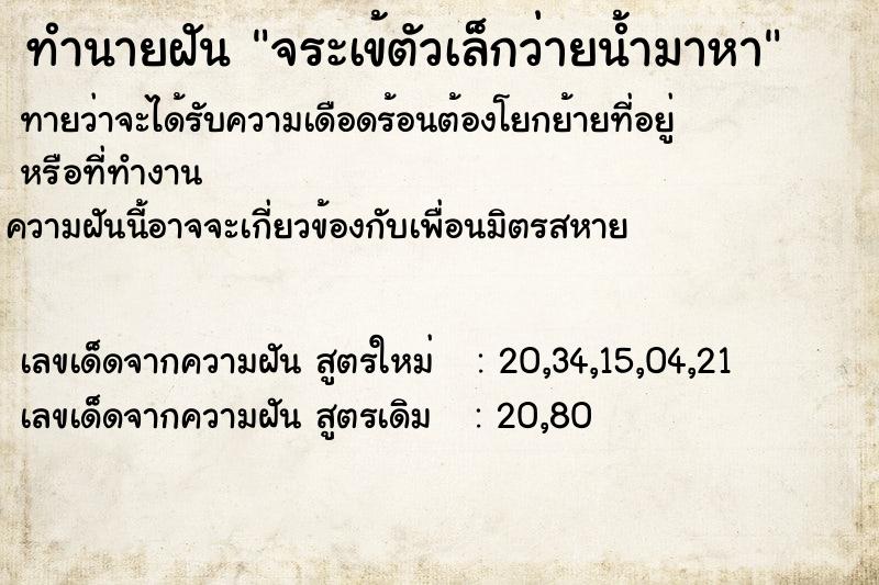 ทำนายฝันจระเข้ตัวเล็กว่ายน้ำมาหา ทำนายฝันทำนายฝันจระเข้ตัวเล็กว่ายน้ำมาหา