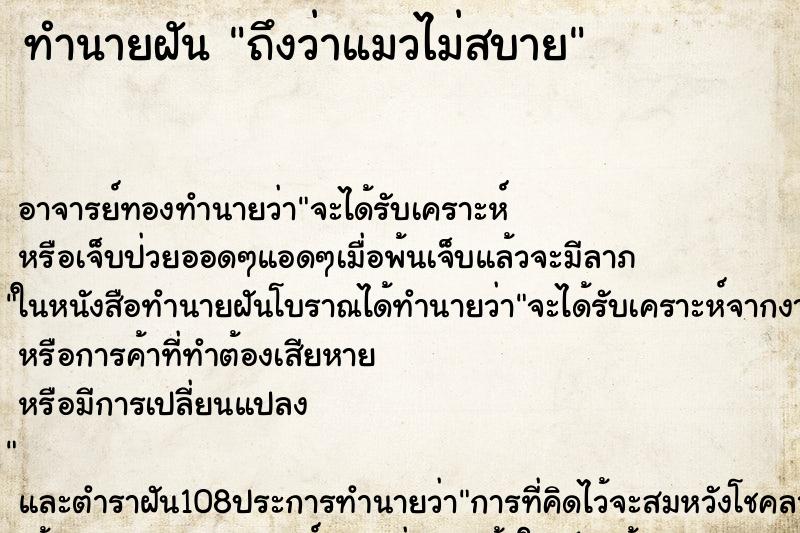 ทำนายฝันทำนายฝันถึงว่าแมวไม่สบาย