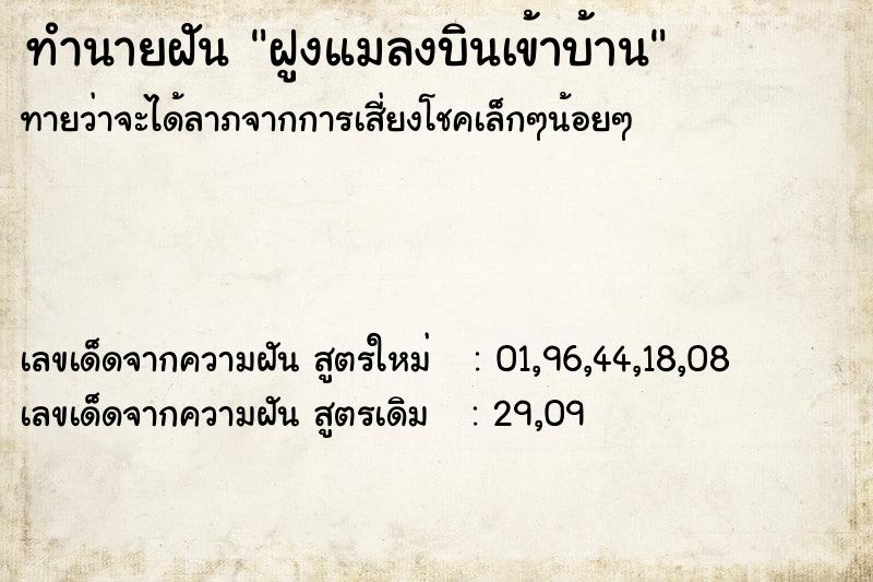 ทำนายฝันทำนายฝันฝูงแมลงบินเข้าบ้าน